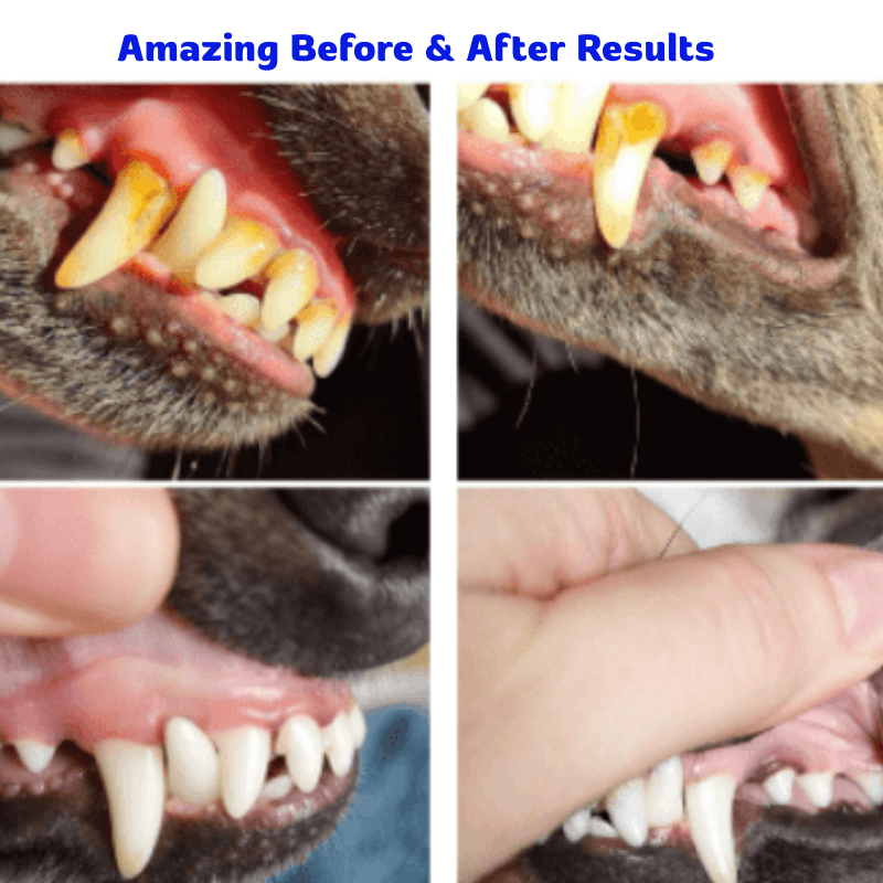 EzPets™ Pet Dental Spray